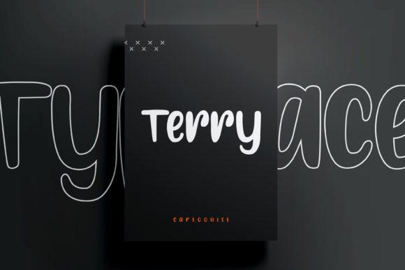 Terry: The Modern Display Font That Elevates Campaign Visuals